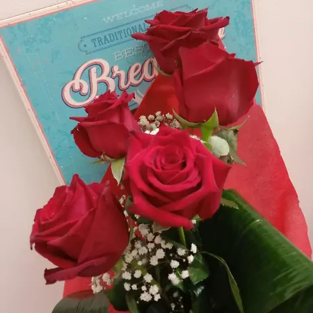 לינה וארוחת בוקר Antonella בארי